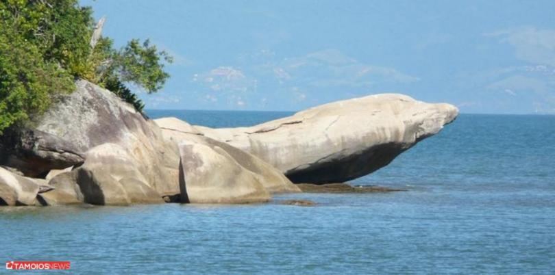 Apto Lindo E Aconchegante Com Piscina 202A Caraguatatuba Dış mekan fotoğraf